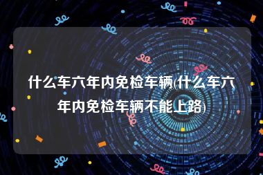 什么车六年内免检车辆(什么车六年内免检车辆不能上路)