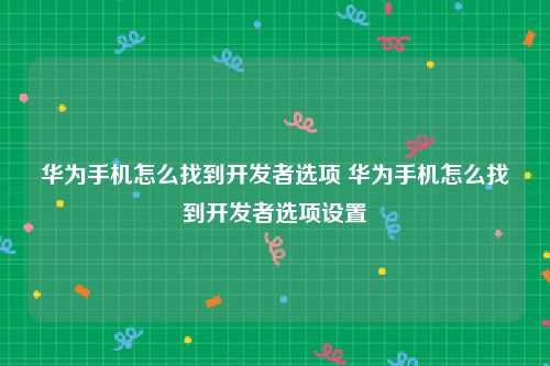 华为手机怎么找到开发者选项 华为手机怎么找到开发者选项设置