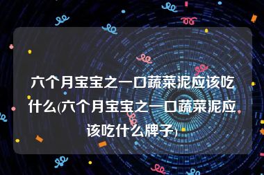 六个月宝宝之一口蔬菜泥应该吃什么(六个月宝宝之一口蔬菜泥应该吃什么牌子)