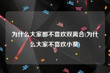 为什么大家都不喜欢双离合(为什么大家不喜欢小葵)