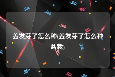 姜发芽了怎么种(姜发芽了怎么种盆栽)