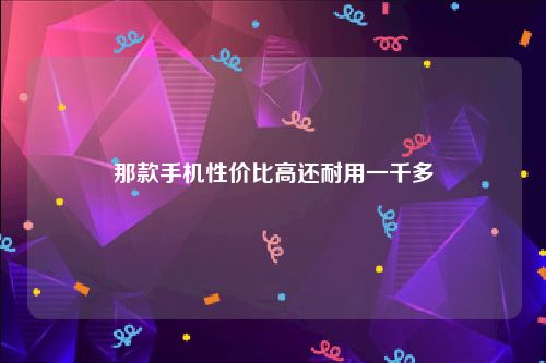 那款手机性价比高还耐用一千多