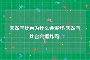 天然气灶台为什么会爆炸(天然气灶台会爆炸吗)