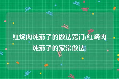 红烧肉炖茄子的做法窍门(红烧肉炖茄子的家常做法)