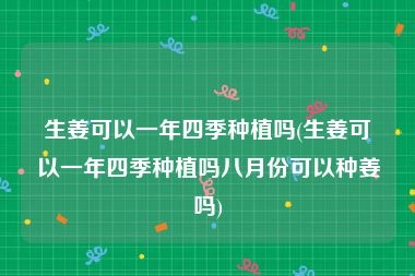 生姜可以一年四季种植吗(生姜可以一年四季种植吗八月份可以种姜吗)