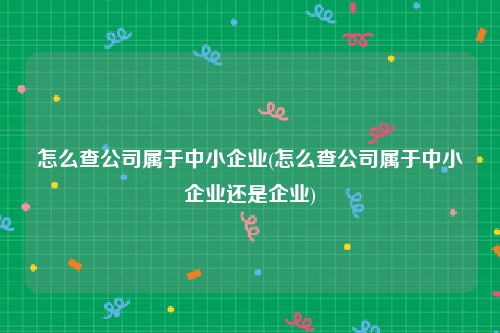 怎么查公司属于中小企业(怎么查公司属于中小企业还是企业)