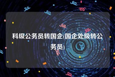 科级公务员转国企(国企处级转公务员)