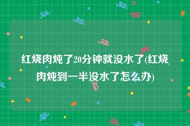 红烧肉炖了20分钟就没水了(红烧肉炖到一半没水了怎么办)