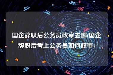 国企辞职后公务员政审去哪(国企辞职后考上公务员如何政审)