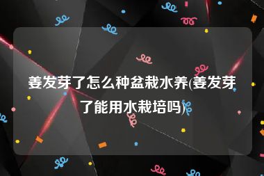 姜发芽了怎么种盆栽水养(姜发芽了能用水栽培吗)