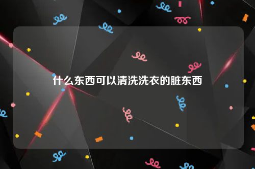 什么东西可以清洗洗衣的脏东西