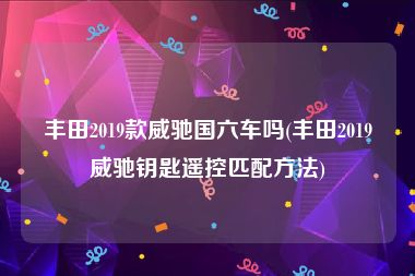 丰田2019款威驰国六车吗(丰田2019威驰钥匙遥控匹配方法)