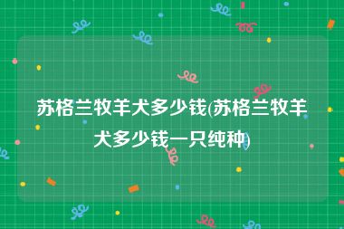 苏格兰牧羊犬多少钱(苏格兰牧羊犬多少钱一只纯种)