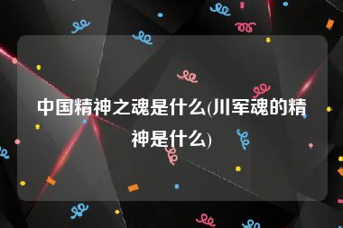 中国精神之魂是什么(川军魂的精神是什么)