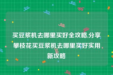 买豆浆机去哪里买好全攻略,分享攀枝花买豆浆机去哪里买好实用新攻略