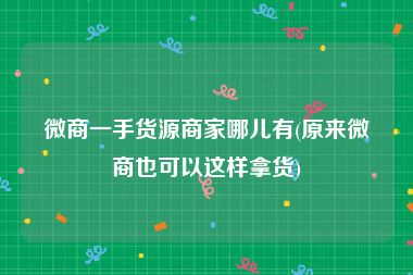 微商一手货源商家哪儿有(原来微商也可以这样拿货)