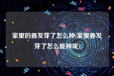 家里的姜发芽了怎么种(家里姜发芽了怎么能种呢)