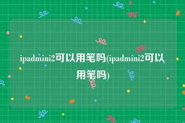 ipadmini2可以用笔吗(ipadmini2可以用笔吗)