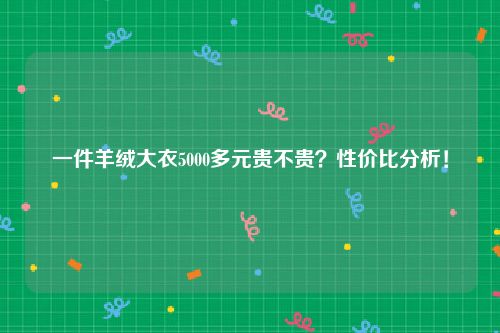 一件羊绒大衣5000多元贵不贵？性价比分析！