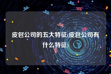 皮包公司的五大特征(皮包公司有什么特征)