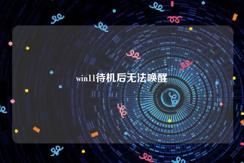 win11待机后无法唤醒