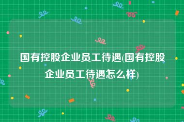 国有控股企业员工待遇(国有控股企业员工待遇怎么样)