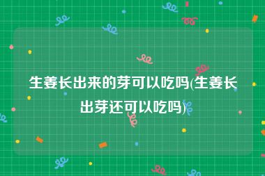 生姜长出来的芽可以吃吗(生姜长出芽还可以吃吗)