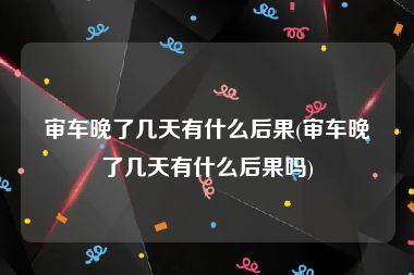 审车晚了几天有什么后果(审车晚了几天有什么后果吗)