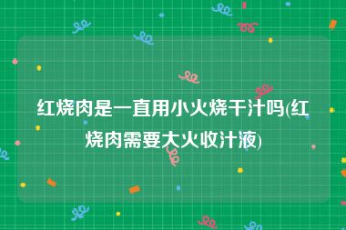 红烧肉是一直用小火烧干汁吗(红烧肉需要大火收汁液)