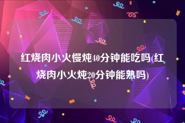 红烧肉小火慢炖40分钟能吃吗(红烧肉小火炖20分钟能熟吗)