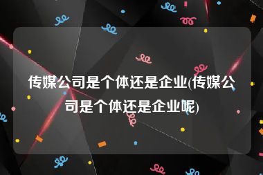 传媒公司是个体还是企业(传媒公司是个体还是企业呢)