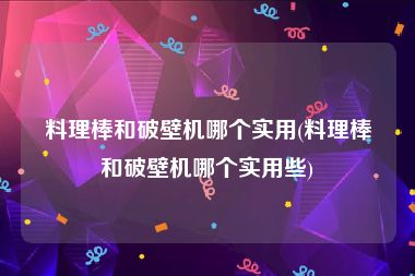 料理棒和破壁机哪个实用(料理棒和破壁机哪个实用些)