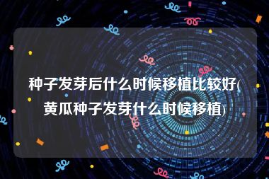 种子发芽后什么时候移植比较好(黄瓜种子发芽什么时候移植)