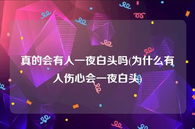 真的会有人一夜白头吗(为什么有人伤心会一夜白头)