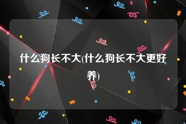 什么狗长不大(什么狗长不大更好养)