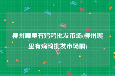 柳州哪里有鸡鸭批发市场(柳州哪里有鸡鸭批发市场啊)