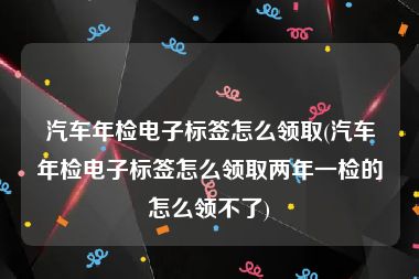 汽车年检电子标签怎么领取(汽车年检电子标签怎么领取两年一检的怎么领不了)