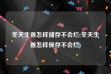 冬天生姜怎样储存不会烂(冬天生姜怎样保存不会烂)