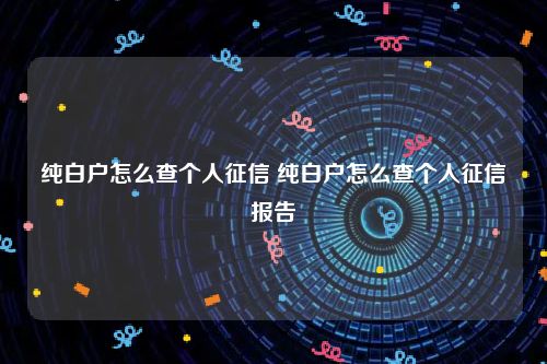 纯白户怎么查个人征信 纯白户怎么查个人征信报告