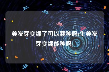 姜发芽变绿了可以栽种吗(生姜发芽变绿能种吗)