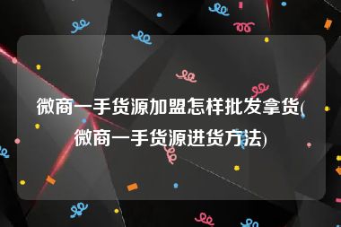 微商一手货源加盟怎样批发拿货(微商一手货源进货方法)