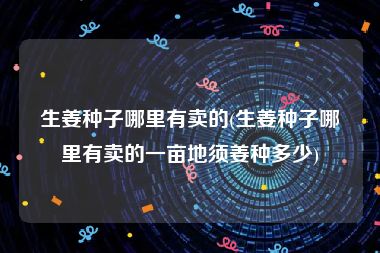 生姜种子哪里有卖的(生姜种子哪里有卖的一亩地须姜种多少)