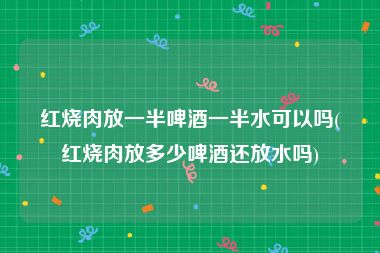 红烧肉放一半啤酒一半水可以吗(红烧肉放多少啤酒还放水吗)