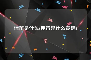 迷笛是什么(迷笛是什么意思)