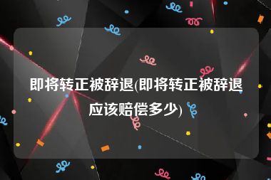 即将转正被辞退(即将转正被辞退应该赔偿多少)