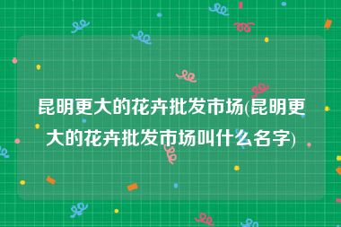 昆明更大的花卉批发市场(昆明更大的花卉批发市场叫什么名字)