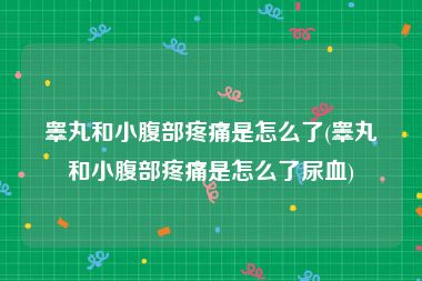 睾丸和小腹部疼痛是怎么了(睾丸和小腹部疼痛是怎么了尿血)