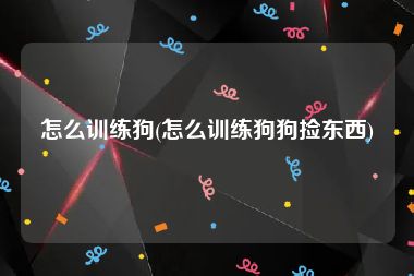 怎么训练狗(怎么训练狗狗捡东西)