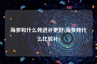 海参和什么炖进补更好(海参炖什么比较补)