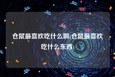 仓鼠最喜欢吃什么啊(仓鼠最喜欢吃什么东西)